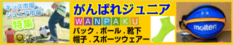 辻川スポーツ バッグ ボール 靴下 ジュニア商品 スポーツ用品オンラインショップ